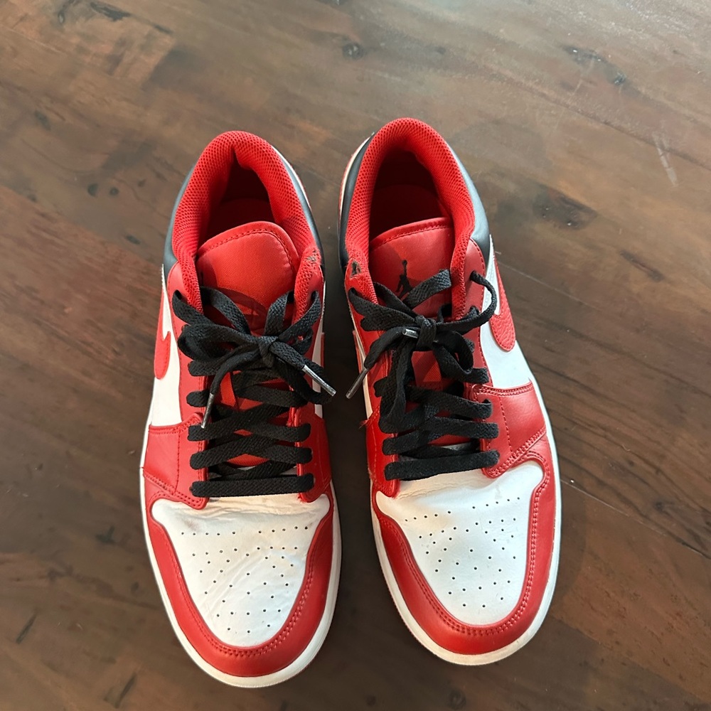 Nike dunks worn a few times, great condition 10.5